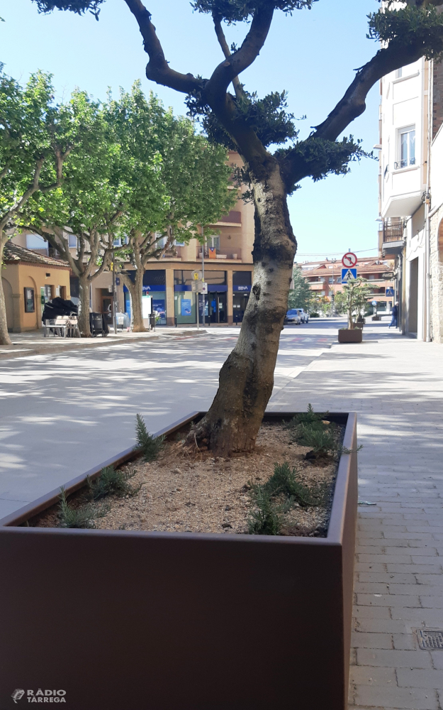 L'Ajuntament d'Agramunt renova el mobiliari urbà de diferents espais de la vila