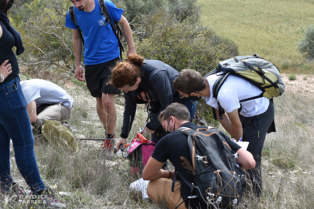 Èxit de participació en el primer 'Bioblitz Tàrrega - Lluçà'