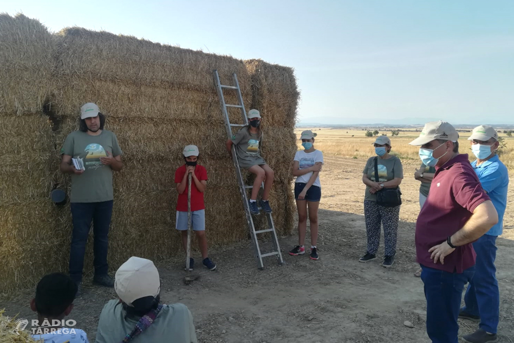 L’Associació Limonium Natura habilita un espai a la Figuerosa per afavorir la cria campestre de l’esparver cendrós