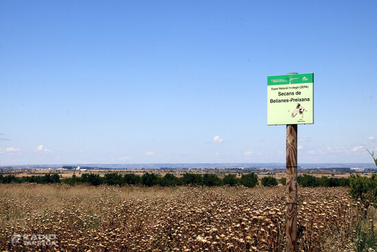 El Segarra-Garrigues aposta per consolidar la viabilitat del canal amb el regadiu i el manteniment de la biodiversitat