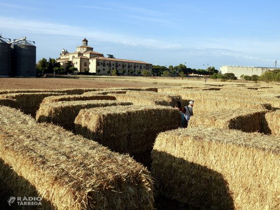 Joves de Sant Ramon organitzen un laberint de palla a l'agost per dinamitzar el municipi i atraure visitants