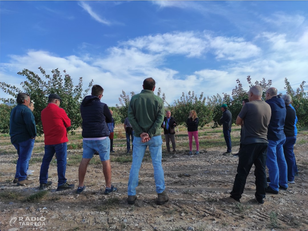 Borges organitza les jornades informatives sobre la recol·lecció del pistatxo pels futurs productors del Projecte Pistatxo BAIN