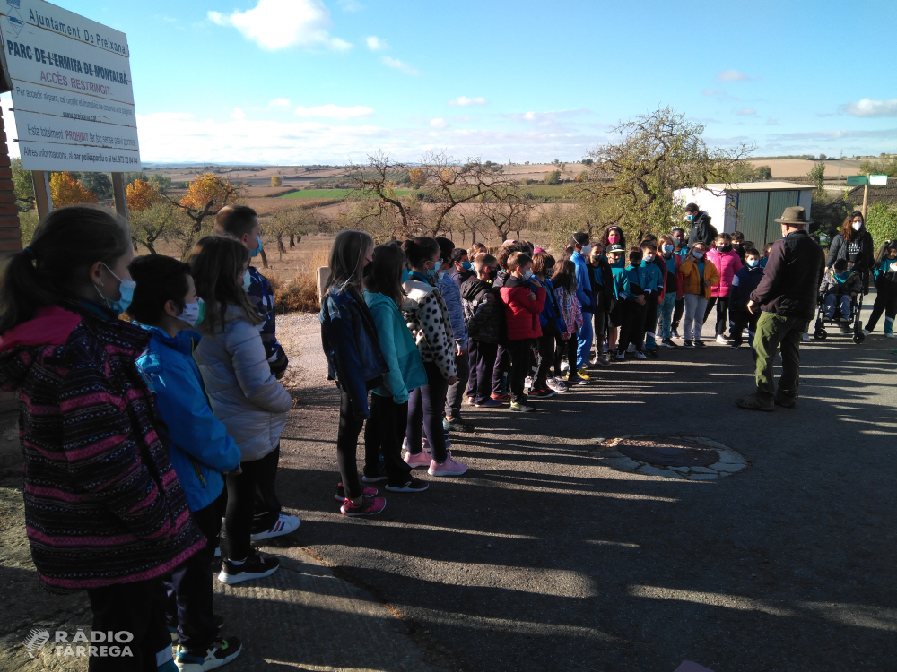 Comencen els tallers i les visites als espais naturals de Ponent per a escolars de l'Urgell