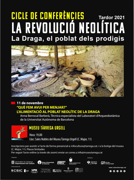 Continua el cicle de conferències 'La revolució neolítica. La Draga, el poblat dels prodigis' al Museu Tàrrega Urgell