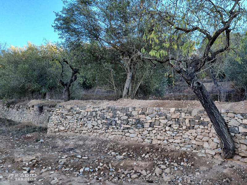 GEMA, la Soll i els Amics de l'Arquitectura Popular commemoren la "Setmana de la pedra seca" amb la restauració de murs de pedra a la finca de Lluçà