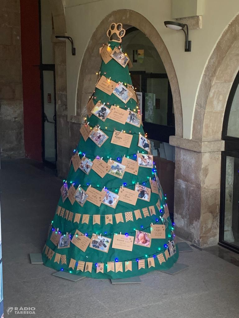 L’arbre de Nadal del Consell Comarcal de l'Urgell convida a l’adopció dels animals de la canera comarcal