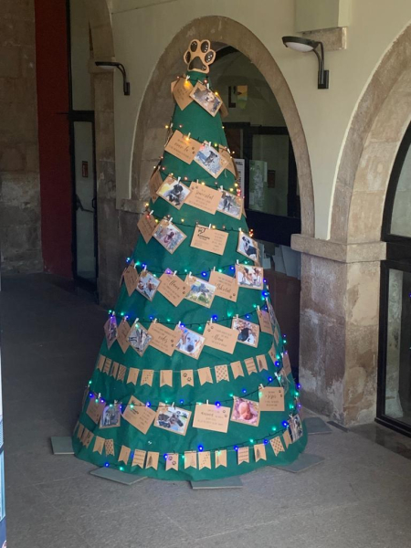 L’arbre de Nadal del Consell Comarcal de l'Urgell convida a l’adopció dels animals de la canera comarcal