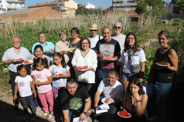 Horticultura ecològica a Tàrrega per a fomentar l’alimentació saludable i la cohesió social