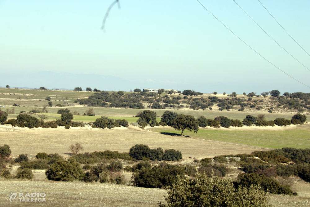 Ipcena presenta al·legacions contra el projecte d'una macro granja de més de 9.000 porcs als Plans de Sió