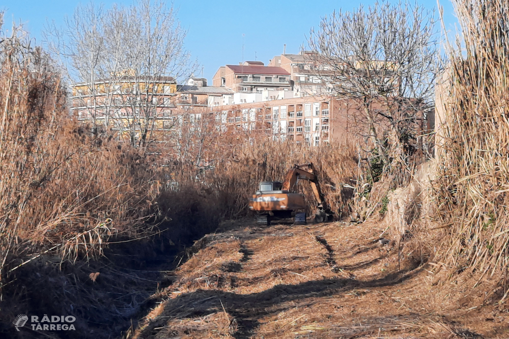 Tàrrega inverteix vora 78.000 euros en una exhaustiva actuació de neteja i plantació d’arbres a la llera del riu Ondara