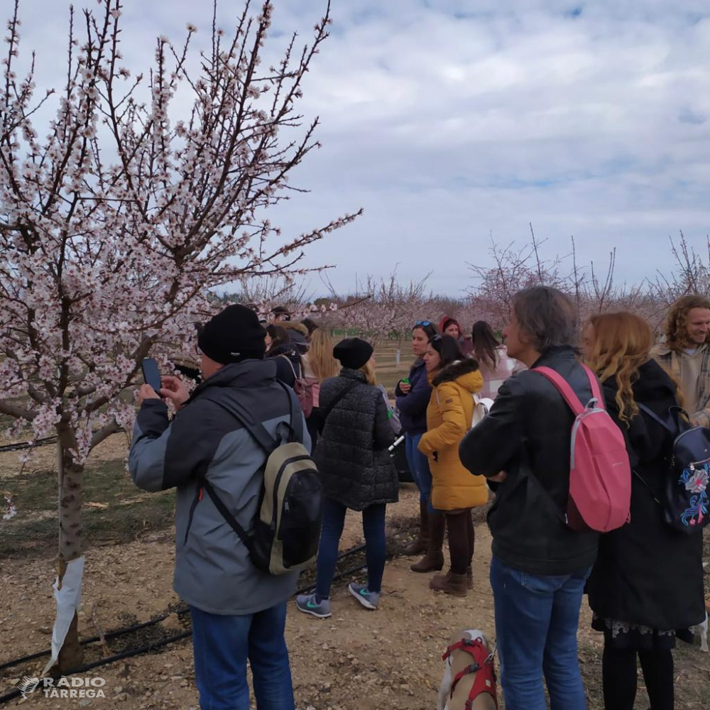 Una quarentena de membres de l’Associació de Bloggers de Catalunya, Barcelona Travel Bloggers visita els camps d'ametllers de l'Urgell