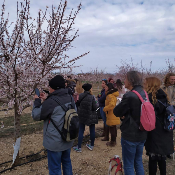 Una quarentena de membres de l’Associació de Bloggers de Catalunya, Barcelona Travel Bloggers visita els camps d'ametllers de l'Urgell