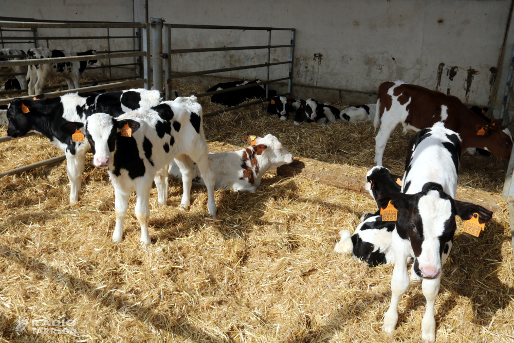 La guerra a Ucraïna dispara els costos i genera incertesa al sector agrari