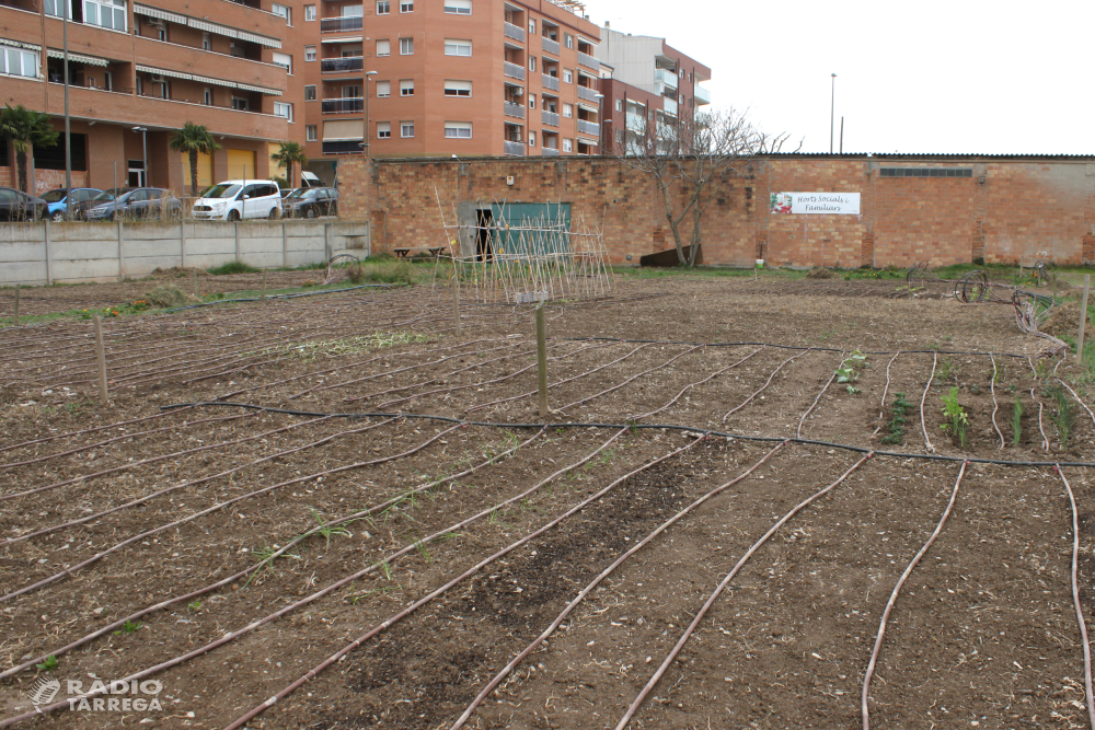 Tàrrega reprèn el programa d’horts urbans, ajornat el maig del 2020 a causa de la pandèmia