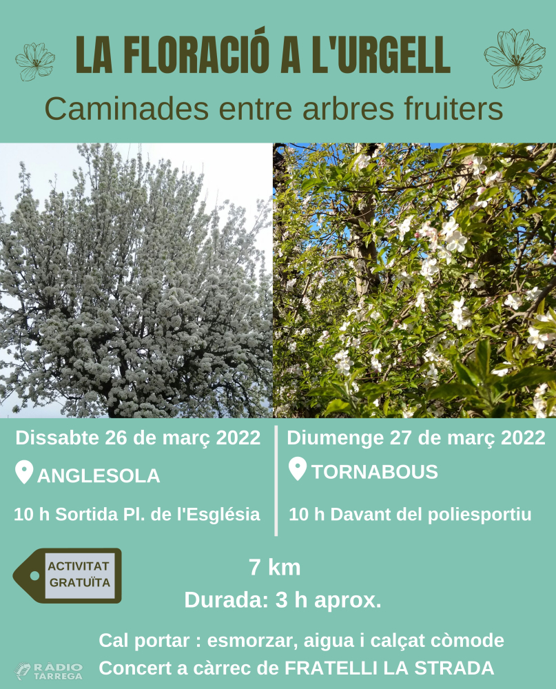 Turisme Urgell  organitza dues rutes guiades per veure la floració dels arbres fruiters a la comarca