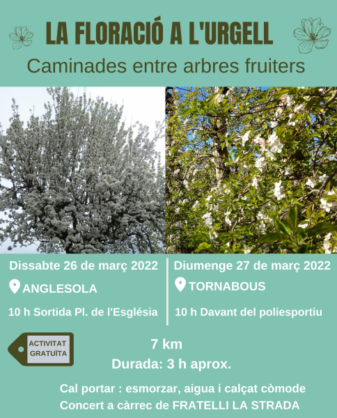 Turisme Urgell  organitza dues rutes guiades per veure la floració dels arbres fruiters a la comarca