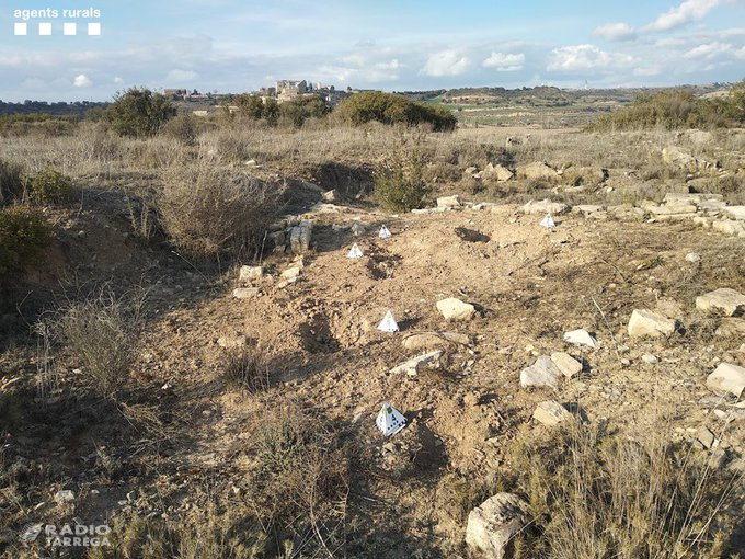 Els Agents Rurals investiguen un espoli al jaciment arqueològic del Pla de les Tenalles de La Mora
