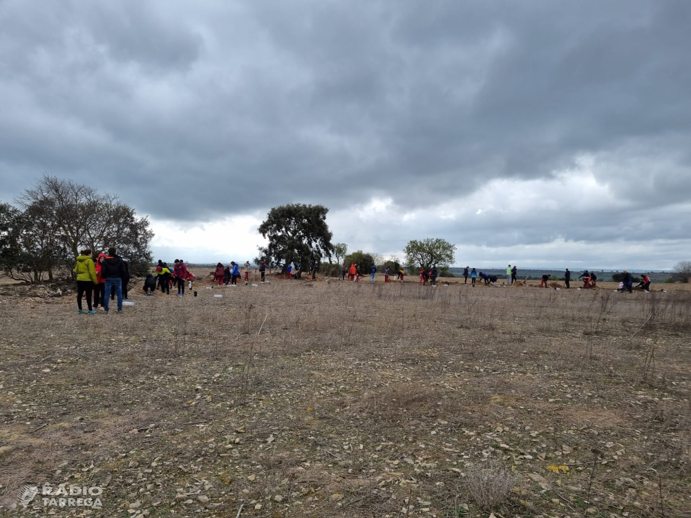 Els alumnes de primer d'ESO del Vedruna Tàrrega i GEMA planten una setantena d'arbres i plantes arbustives a la zona del Lluçà de Tàrrega