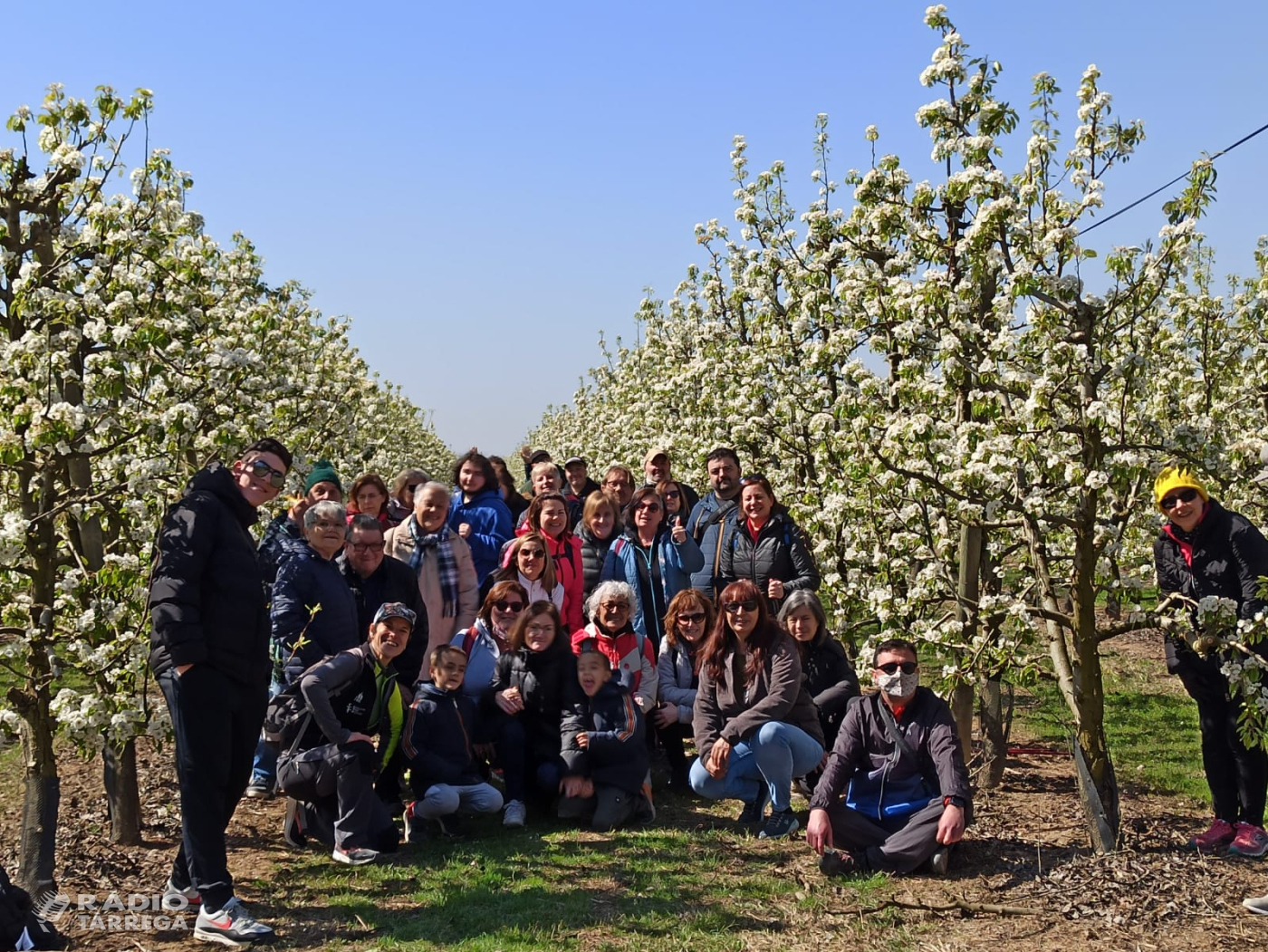 Iniciativa per gaudir de la floració dels arbres fruiters a l' Urgell