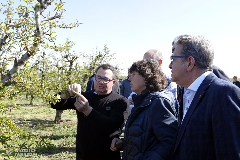 Jordà obre la porta a ampliar els ajuts als agricultors per fer front a les gelades tal com demana el sector