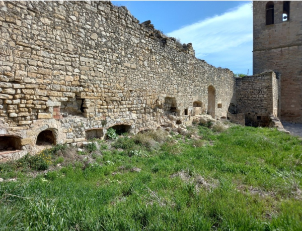 Guimerà licita l'arranjament i museïtzació de la necròpolis