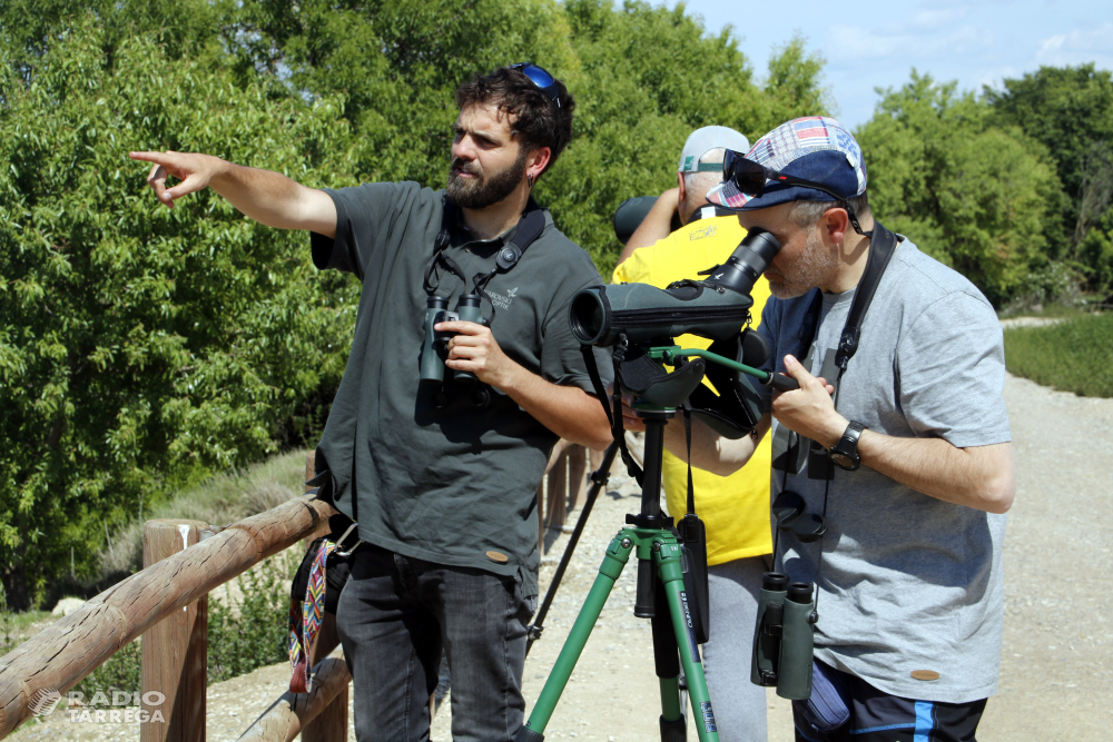 Recorren durant 24 hores la demarcació de Lleida per difondre la seva importància com a destí ornitològic a Europa