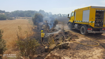 Acord amb el sector agrari per aturar la sega de cereal a primera hora de la tarda a causa de l'onada de calor