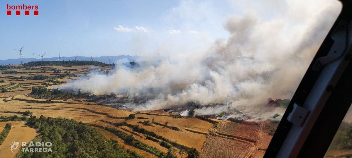 53 dotacions dels Bombers treballen en un foc a Vallbona de les Monges amb un potencial de 500 hectàrees