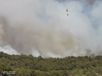 Controlat l'incendi de Vallbona de les Monges