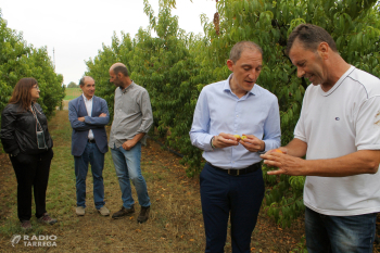 Agroseguro estima en 103 MEUR les indemnitzacions que haurà d'abonar als productors de fruita per les gelades de l'abril