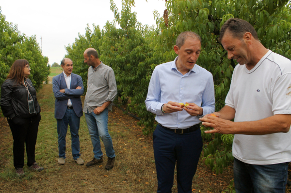 Agroseguro estima en 103 MEUR les indemnitzacions que haurà d'abonar als productors de fruita per les gelades de l'abril