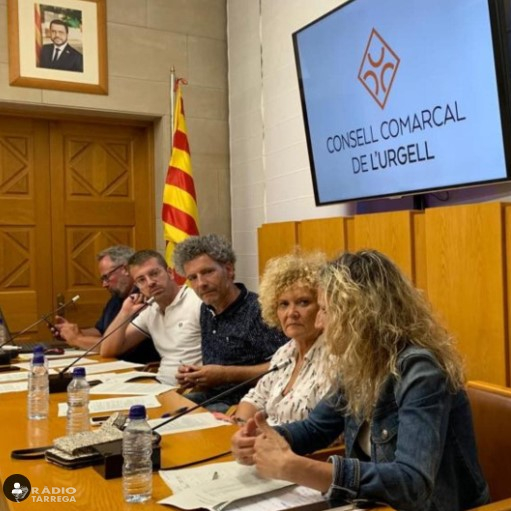 El Consell de l'Urgell aprova el seu nou emblema