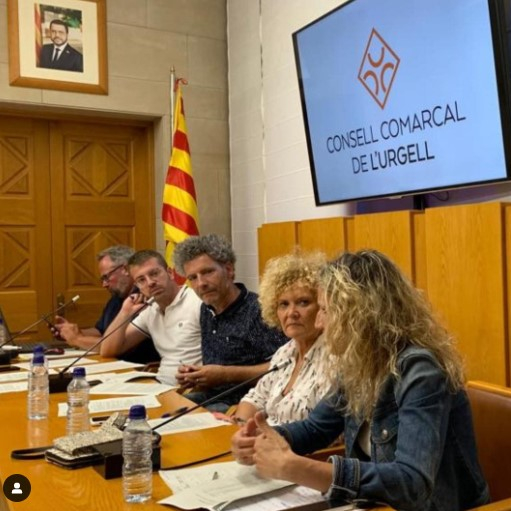El Consell de l'Urgell aprova el seu nou emblema