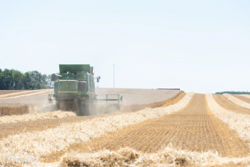 Unió de Pagesos quantifica en 180 milions les pèrdues del cereal d’hivern per l’efecte de la sequera, les gelades i els cops de calor