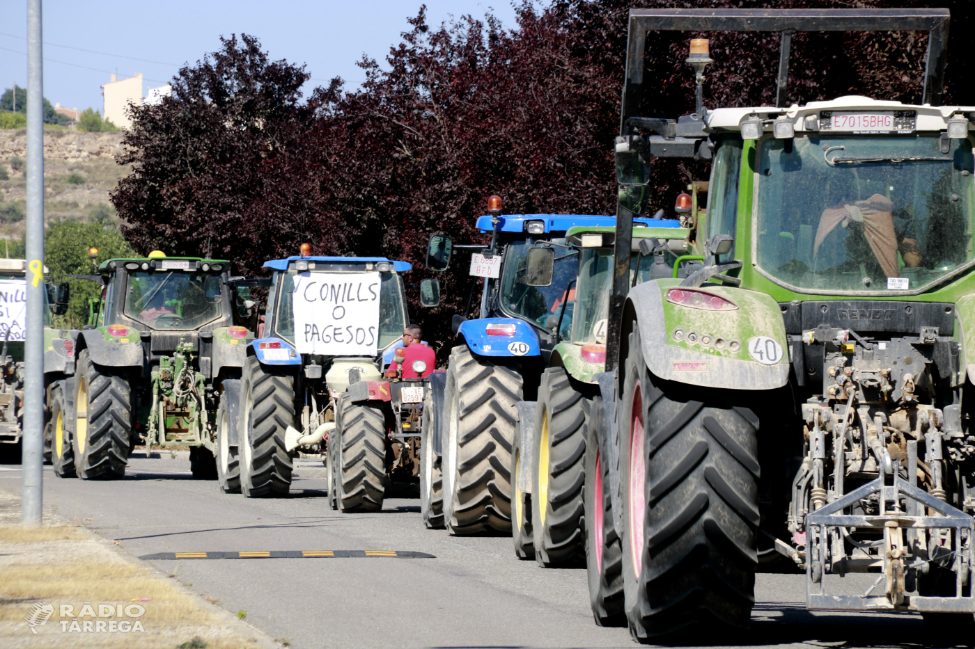 Unió de Pagesos reclama l’activació de l’emergència cinegètica a la Plana de Lleida