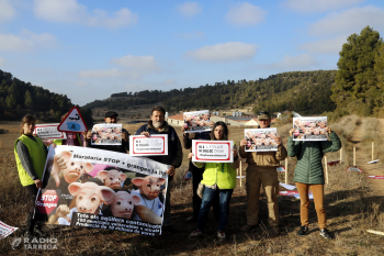 Greenpeace i Ipcena denuncien l'excés de macrogranges amb una acció en una explotació dels Omells de Na Gaia