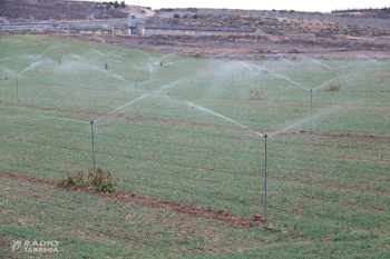 El canal Segarra-Garrigues inicia la campanya de reg 'més difícil' a causa del baix nivell de reserves d'aigua a Rialb