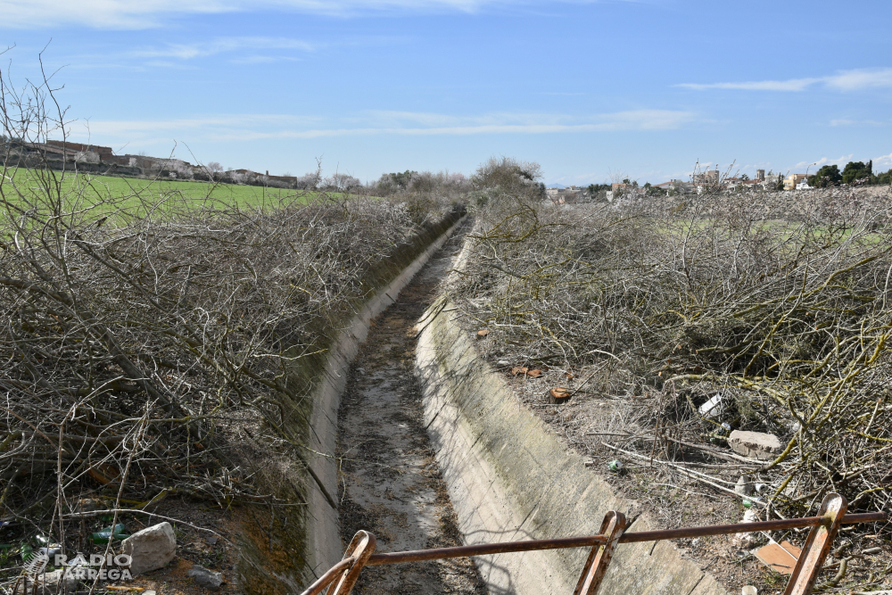 El grup ecologista GEMA denuncia una tala massiva d’arbres i arbustos al Canalet de Tàrrega