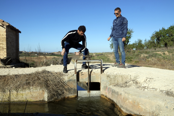 Els regants del Canal d’Urgell inicien una de les campanyes més complicades a causa de la sequera
