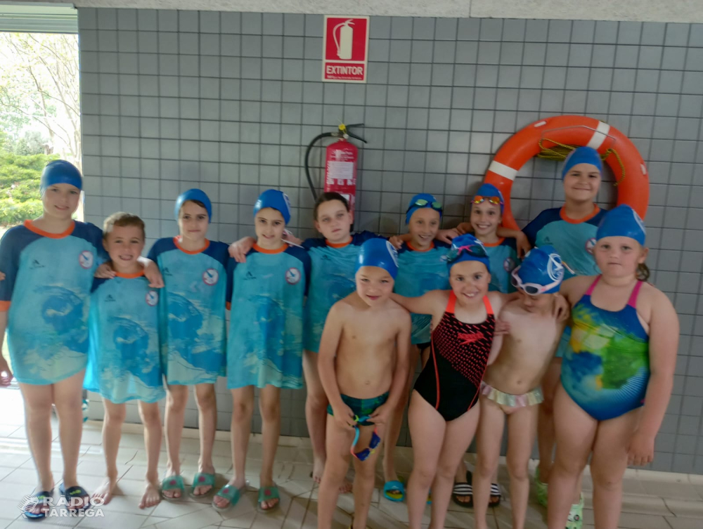 Últimes Jornades de lliga Prebenjamí -Benjamí i Trofeu Sant Jordi Infantil, Junior i Absolut