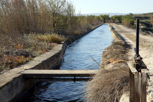 Acció Climàtica i els regants del canal d'Urgell exigeixen la modernització del rec al Ministeri d'Agricultura