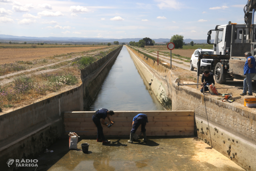 El canal d'Urgell ja baixa sense volum i es preparen les tanques per reservar l'aigua pels municipis