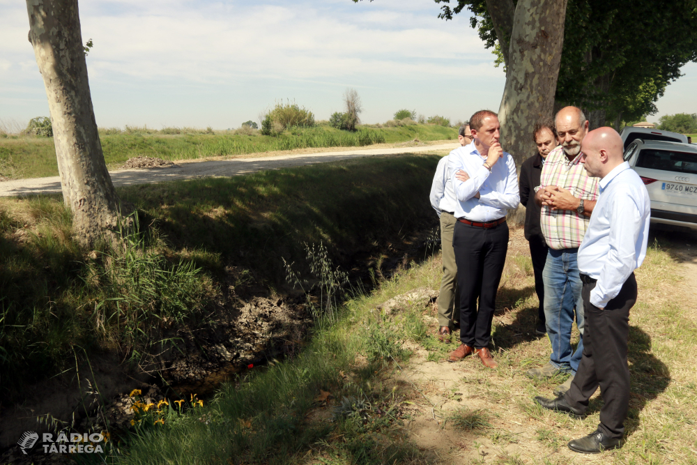 Agroseguro confia que l'administració donarà ajuts als agricultors davant d'una sequera que "traspassa el sistema"