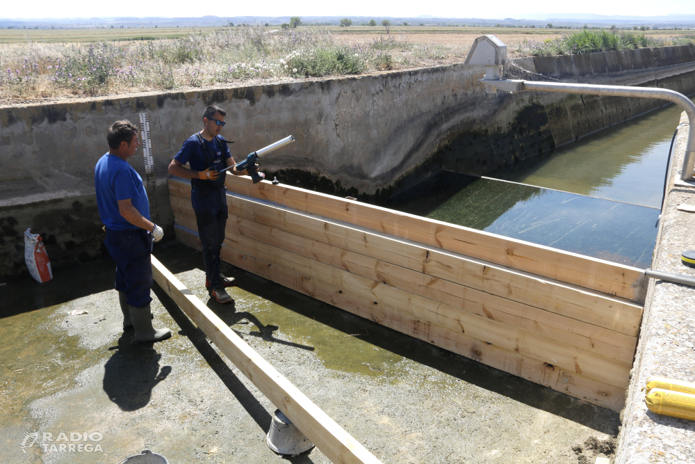 El canal d'Urgell només pot garantir un reg de supervivència als fruiters amb les actuals reserves