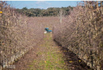 Acció Climàtica arriba a un acord amb el Ministeri d'Agricultura per esmenar l'error en la rebaixa dels mòduls agraris per les gelades a la Noguera i l'Urgell