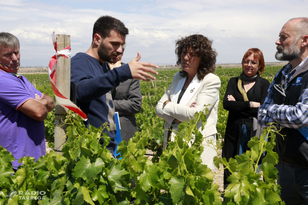 Acció Climàtica "complementarà" els ajuts de l'Estat a la ramaderia amb 7 MEUR per comprar farratges