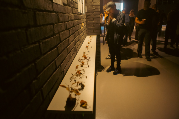 L’artista Paula Vicente s’endú el Premi IEI – Embarrat 2023 concedit en el marc del Festival de Creació Contemporània de Tàrrega