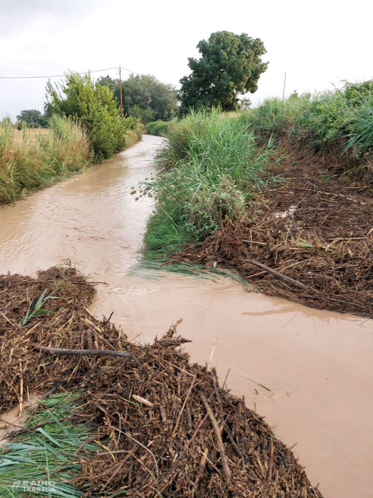 L'episodi de pluja i vent de les darreres hores provoca algunes afectacions a l'Urgell