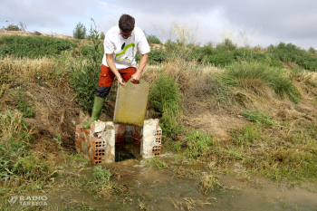 El Canal d'Urgell i el Segarra-Garrigues podran regar més per l'augment de les reserves d'aigua a Oliana i Rialb