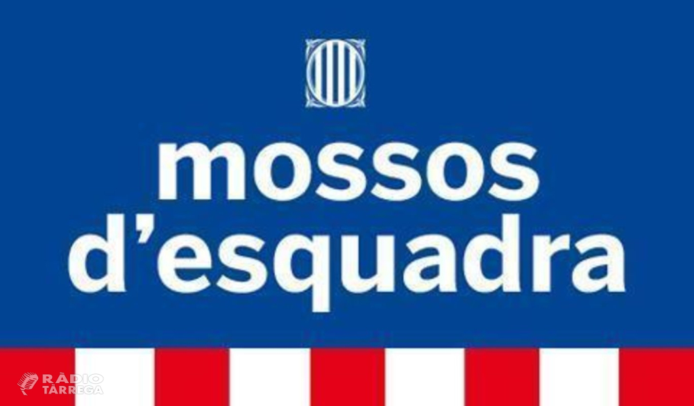 Els Mossos d'Esquadra detenen dos homes per dos furts en una explotació agrícola de l'Urgell